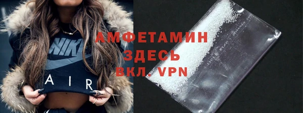 молекула духа Богородск