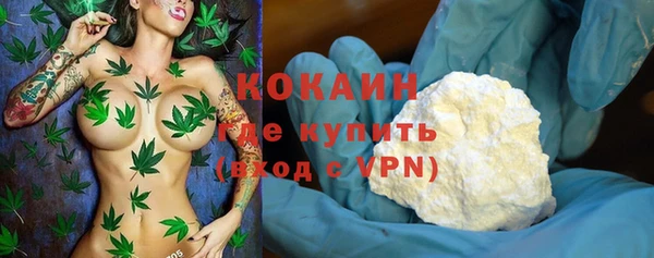 молекула духа Богородск