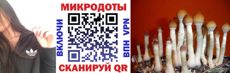 Псилоцибиновые грибы GOLDEN TEACHER  Микунь 