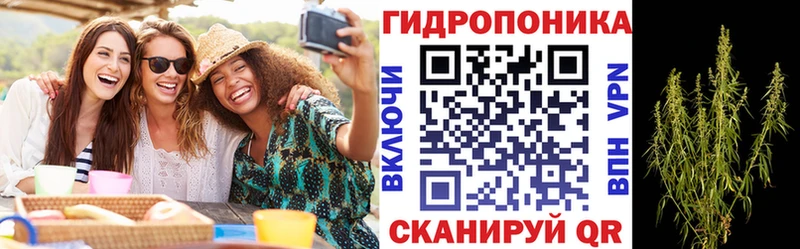 Бошки марихуана Amnesia  Микунь 